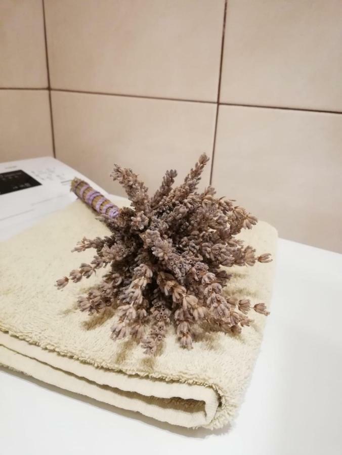 Apartman Jela Sibenik Luaran gambar
